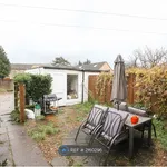 Rent 4 bedroom house in East Of England