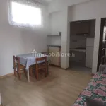 Rent 2 bedroom apartment of 40 m² in Pavia