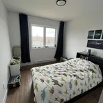 Rent 6 bedroom house in Lévis