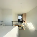  appartement avec 1 chambre(s) en location à Knokke-Heist