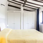 Rent 1 bedroom apartment in Florence