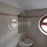 Rent 3 bedroom apartment of 147 m² in Velké Meziříčí