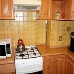 Rent 2 bedroom apartment of 42 m² in Płock