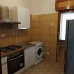 Rent 3 bedroom apartment of 55 m² in Potenza