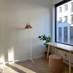 Huur 1 slaapkamer appartement in Antwerpen