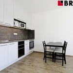 Rent 1 bedroom apartment of 28 m² in Brno