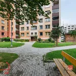 Rent 3 bedroom apartment in Karviná