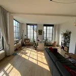 Rent 1 bedroom apartment in Ghent