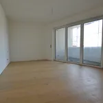 Rent 2 bedroom apartment of 51 m² in Leipzig