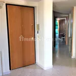 Penthouse via Fernando Barbaranelli 20, Matteotti, Uliveto, Buonarroti, Civitavecchia