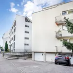 Rent 3 bedroom apartment of 66 m² in Basel