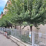 Affitto 5 camera appartamento di 95 m² in Bologna