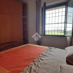 Affitto 2 camera casa di 45 m² in Latina