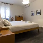 Rent 1 bedroom apartment of 62 m² in bologna