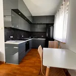 Rent 2 bedroom apartment of 50 m² in Poznan