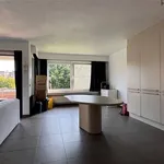 Rent 1 bedroom apartment in AARTSELAAR