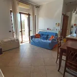 Rent 3 bedroom apartment of 80 m² in Rome