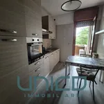 Rent 4 bedroom apartment of 140 m² in Padua