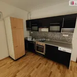 Rent 1 bedroom apartment of 48 m² in Prague