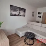 Rent 1 bedroom apartment in Pilsen