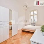 Rent 1 bedroom apartment in Prague