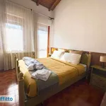 Appartamento arredato con terrazzo Centro