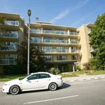 Rent 2 bedroom apartment in toronto