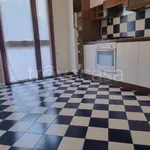 Rent 4 bedroom apartment of 117 m² in Padua