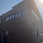 Rent 2 bedroom apartment of 85 m² in Tienen