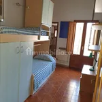 Rent 3 bedroom apartment of 60 m² in Siena