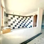 Apartment via Zamenhof, Marina di Carrara, Carrara