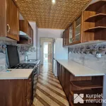 Rent 3 bedroom apartment of 65 m² in Przemyśl