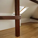 Rent 1 bedroom house of 273 m² in Prague