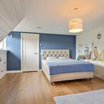 Rent 9 bedroom house of 373 m² in De Maat