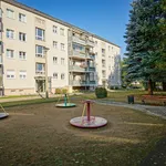 Wohnung über 51 m² in Dresden