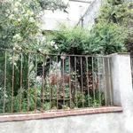 Rent 5 bedroom apartment of 100 m² in Polizzi Generosa