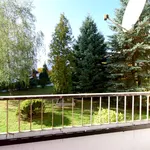 Rent 2 bedroom apartment of 40 m² in Kielce