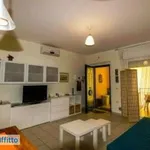 Rent 2 bedroom apartment of 56 m² in Prato