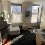 Rent 1 bedroom apartment of 250 m² in Manhattan