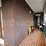 Rent 3 bedroom apartment of 100 m² in Padova