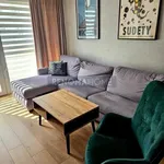 Rent 2 bedroom apartment of 50 m² in Wrocław