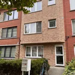 Rent 2 bedroom apartment in Borsbeek