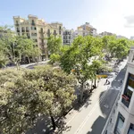 Rent 1 bedroom student apartment of 10 m² in Barcelona