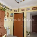 Rent 1 bedroom apartment of 55 m² in Parma