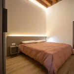 Rent 1 bedroom apartment of 28 m² in Vicenza