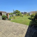 Semi-detached bungalow to rent in The Pyghtle, Wellingborough, Northamptonshire. NN8