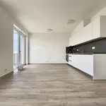 Rent 1 bedroom apartment in Brno