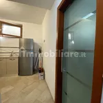 Rent 2 bedroom apartment of 38 m² in Turin