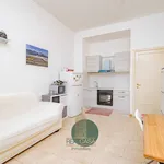 Rent 3 bedroom apartment of 90 m² in Milan