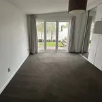 Rent 4 bedroom house in Auckland